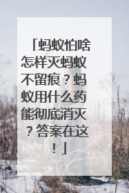 蚂蚁怕啥怎样灭蚂蚁不留痕？蚂蚁用什么药能彻底消灭？答案在这！