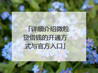 详细介绍微粒贷借钱的开通方式与官方入口