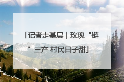 记者走基层｜玫瑰“链”三产 村民日子甜