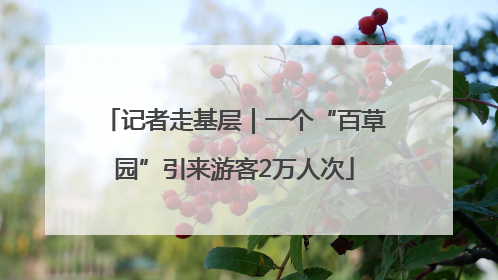 记者走基层｜一个“百草园”引来游客2万人次