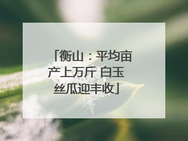 衡山：平均亩产上万斤 白玉丝瓜迎丰收