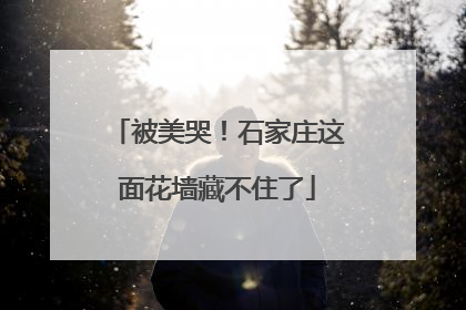 被美哭！石家庄这面花墙藏不住了