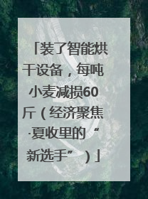 装了智能烘干设备，每吨小麦减损60斤（经济聚焦·夏收里的“新选手”）