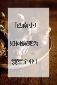 西南小厂如何蝶变为领军企业