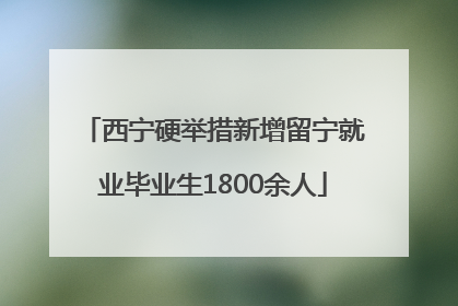 西宁硬举措新增留宁就业毕业生1800余人