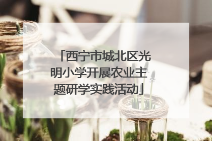 西宁市城北区光明小学开展农业主题研学实践活动