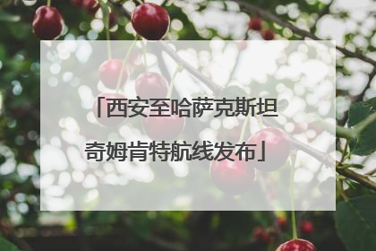 西安至哈萨克斯坦奇姆肯特航线发布