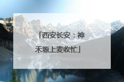 西安长安：神禾塬上麦收忙