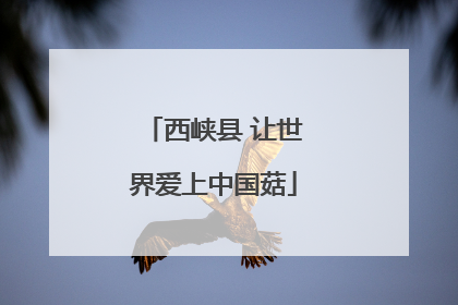 西峡县 让世界爱上中国菇