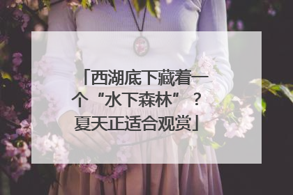西湖底下藏着一个“水下森林”？夏天正适合观赏