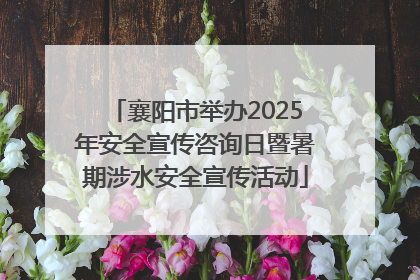 襄阳市举办2025年安全宣传咨询日暨暑期涉水安全宣传活动