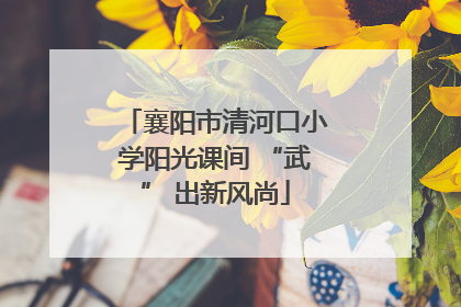 襄阳市清河口小学阳光课间 “武” 出新风尚