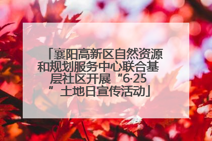 襄阳高新区自然资源和规划服务中心联合基层社区开展“6·25”土地日宣传活动