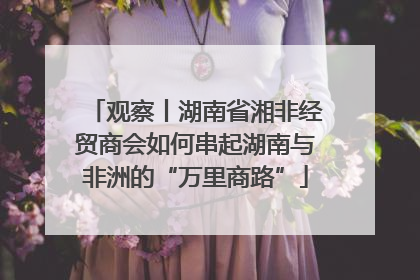 观察丨湖南省湘非经贸商会如何串起湖南与非洲的“万里商路”