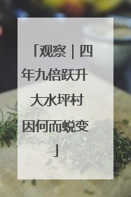 观察｜四年九倍跃升 大水坪村因何而蜕变