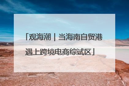 观海潮｜当海南自贸港遇上跨境电商综试区