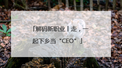 解码新职业丨走，一起下乡当“CEO”