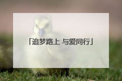 追梦路上 与爱同行