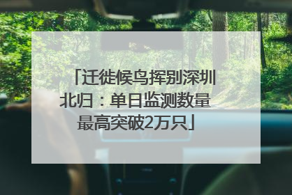 迁徙候鸟挥别深圳北归：单日监测数量最高突破2万只