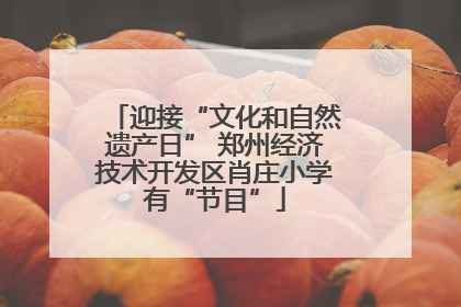 迎接“文化和自然遗产日” 郑州经济技术开发区肖庄小学有“节目”