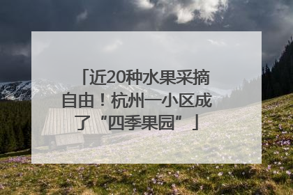 近20种水果采摘自由！杭州一小区成了“四季果园”