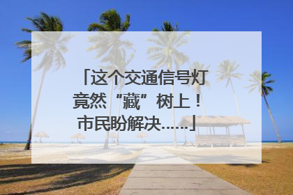 这个交通信号灯竟然“藏”树上！市民盼解决……