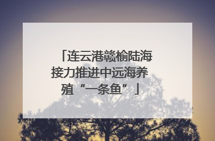 连云港赣榆陆海接力推进中远海养殖“一条鱼”