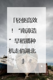 轻便高效！“南漳造”旱稻播种机走俏湖北