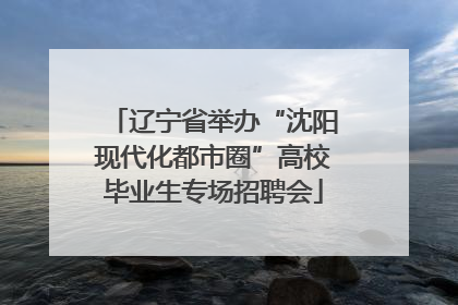 辽宁省举办“沈阳现代化都市圈”高校毕业生专场招聘会