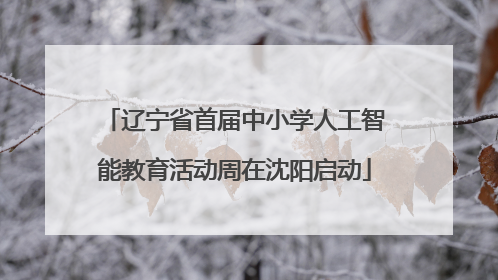 辽宁省首届中小学人工智能教育活动周在沈阳启动
