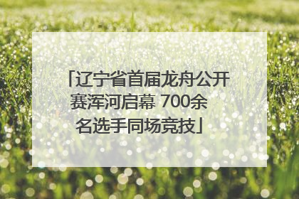 辽宁省首届龙舟公开赛浑河启幕 700余名选手同场竞技