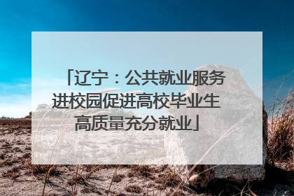 辽宁：公共就业服务进校园促进高校毕业生高质量充分就业