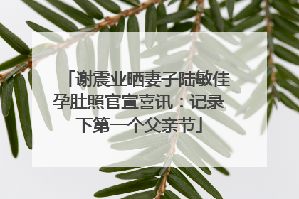 谢震业晒妻子陆敏佳孕肚照官宣喜讯：记录下第一个父亲节