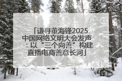 谦寻董海锋2025中国网络文明大会发声：以“三个向善”构建直播电商善意长河