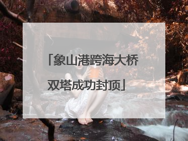 象山港跨海大桥双塔成功封顶
