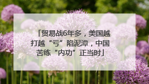 贸易战6年多，美国越打越“亏”陷泥潭，中国苦练“内功”正当时