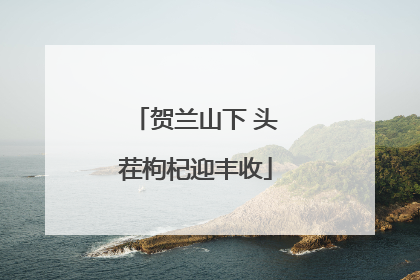贺兰山下 头茬枸杞迎丰收