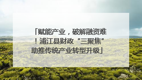 赋能产业，破解融资难！浦江县财政“三聚焦”助推传统产业转型升级