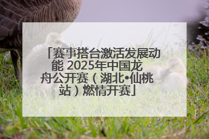 赛事搭台激活发展动能 2025年中国龙舟公开赛（湖北•仙桃站）燃情开赛