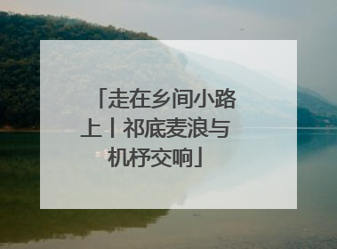 走在乡间小路上丨祁底麦浪与机杼交响