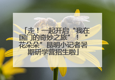 走！一起开启“我在国门的奇妙之旅”！“花朵朵”昆明小记者暑期研学营招生啦