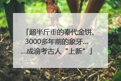 超半斤重的秦代金饼、3000多年前的象牙……成渝考古人“上新”