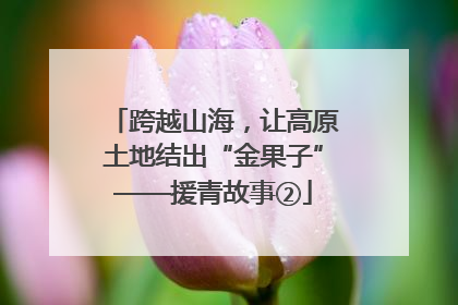 跨越山海，让高原土地结出“金果子”——援青故事②