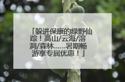 躲进保康的绿野仙踪！高山/云海/溶洞/森林……暑期畅游享专属优惠！