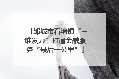 邹城市石墙镇“三维发力”打通金融服务“最后一公里”