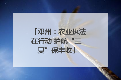 邓州：农业执法在行动 护航“三夏”保丰收