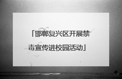邯郸复兴区开展禁毒宣传进校园活动