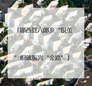 郧西县六郎乡“银茧”织就振兴“金路”