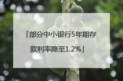 部分中小银行5年期存款利率降至1.2%