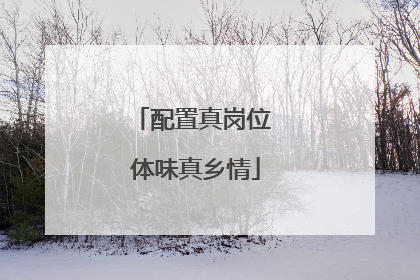 配置真岗位 体味真乡情